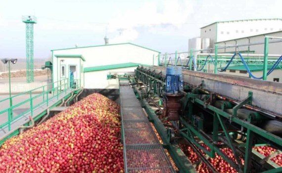 Предварительные итоги сезона переработки яблока в Молдове - agroexpert.md