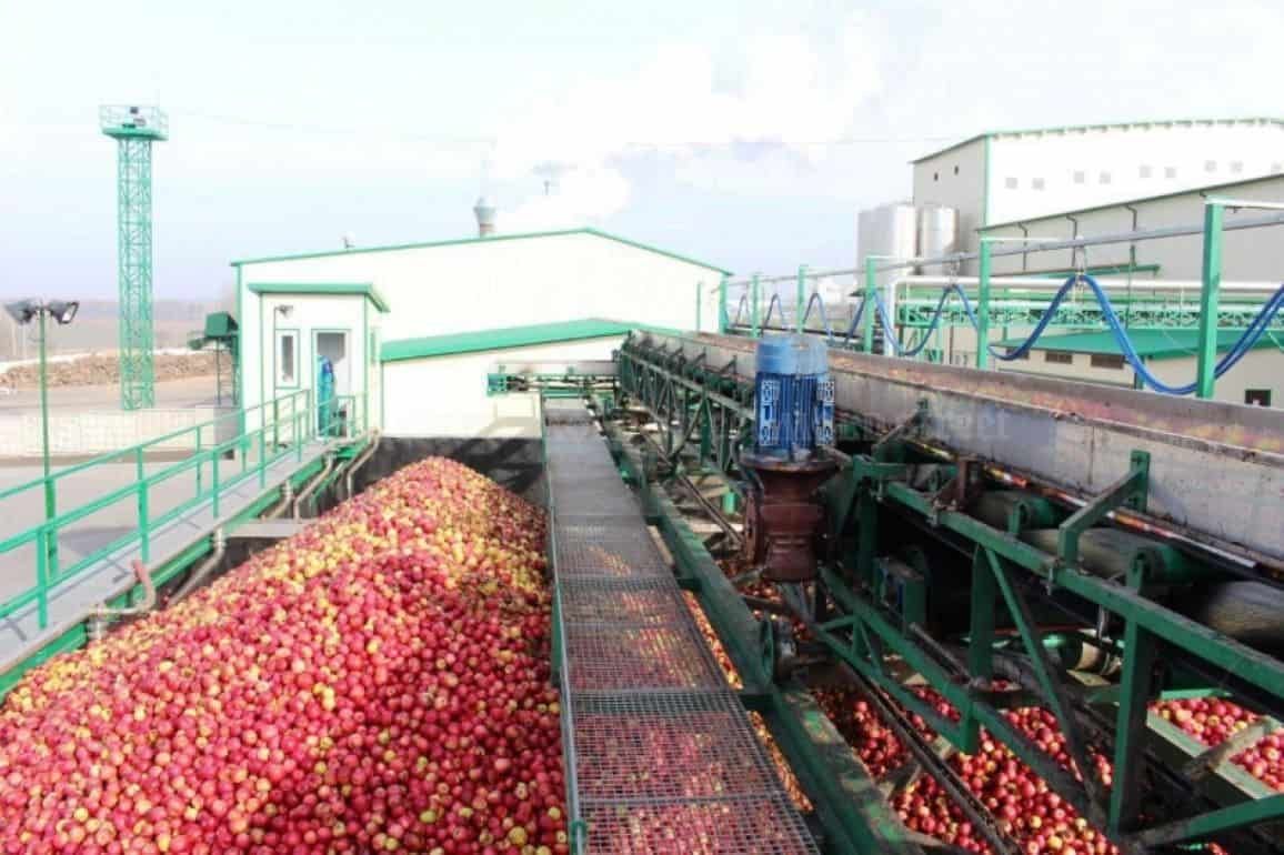 Предварительные итоги сезона переработки яблока в Молдове - agroexpert.md