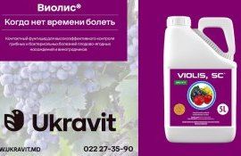 Контактный фунгицид Виолис/Violis - agroexpert.md