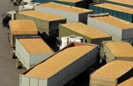 Польша и Румыния хотят отслеживать украинское зерно - agroexpert.md