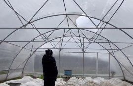 vânt sere distrugeri - agroexpert.md