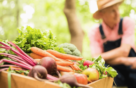 В Молдове началась работа по созданию Реестра фермеров - agroexpert.md