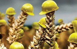 asigurarea în agricultură - agroexpert.md