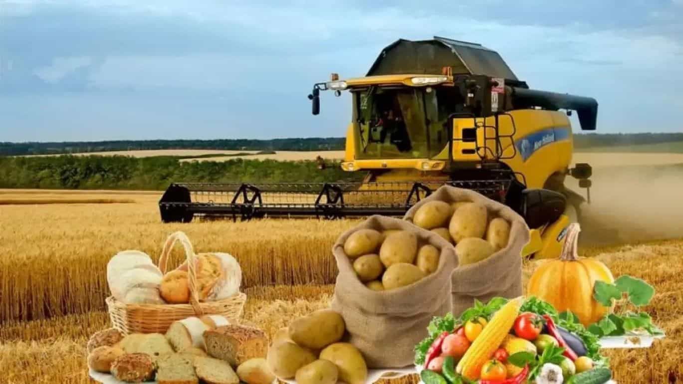 Цены на сельхозпродукцию в Евросоюзе выросли на 26 процентов - agroexpert.md