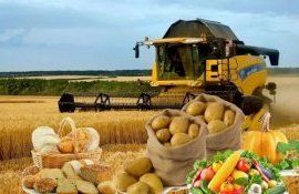 Цены на сельхозпродукцию в Евросоюзе выросли на 26 процентов - agroexpert.md