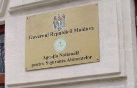 ansa corupție - agroexpert.md