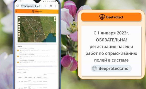 В Молдове вводится регистрация в системе BeeProtect.md - agroexpert.md