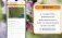 В Молдове вводится регистрация в системе BeeProtect.md - agroexpert.md