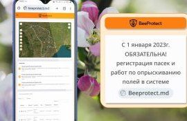 В Молдове вводится регистрация в системе BeeProtect.md - agroexpert.md