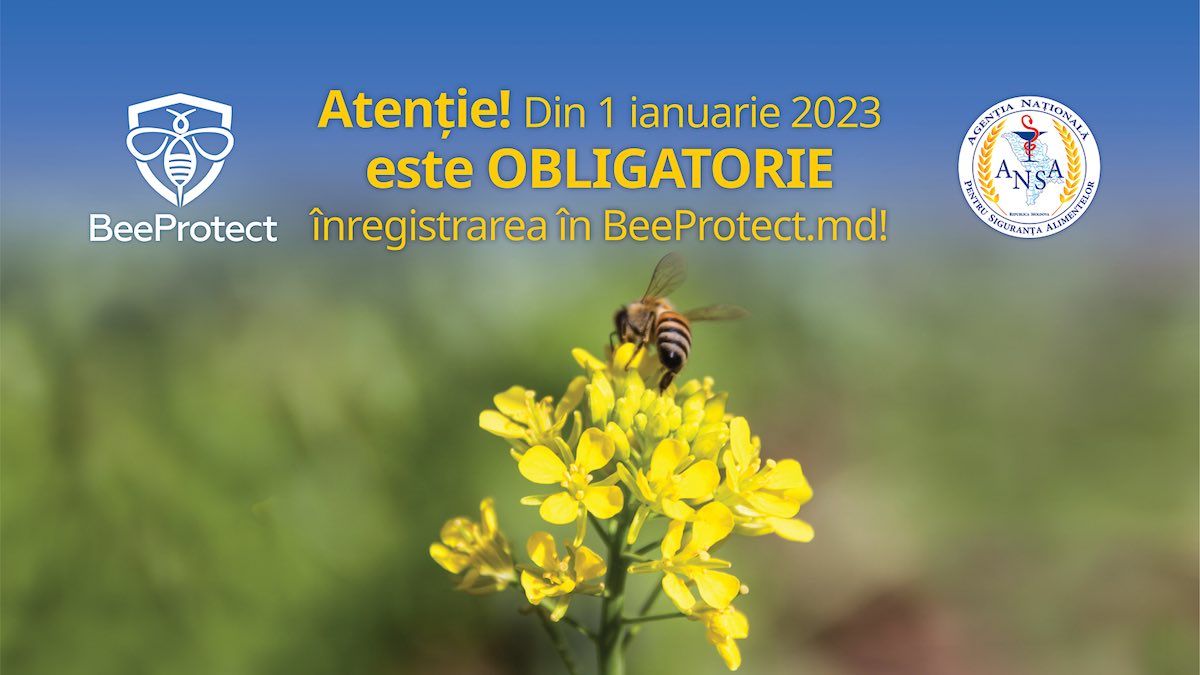 beeprotect - agroexpert.md