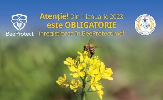 beeprotect - agroexpert.md