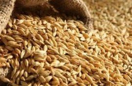Дополнительная компенсация польским фермерам из-за украинского зерна - agroexpert.md