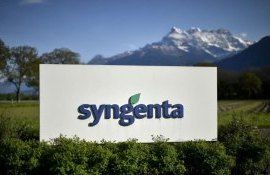 Шанхайская биржа отменила слушания по IPO Syngenta - agroexpert.md   