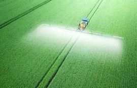 Легенды о глифосате и тестирование биологических альтернатив - agroexpert.md