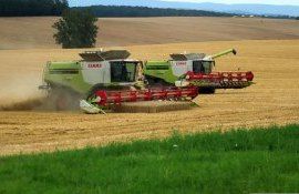 Первый прогноз производства сельхозкультур в ЕС в сезоне-2023/24 - agroexpert.md