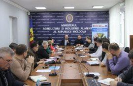 maia irigare - agroexpert.md