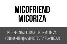 tratarea semințelor - agroexpert.md