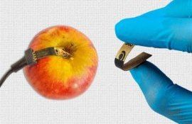 Бумажные датчики для тестирования овощей и фруктов на пестициды - agroexpert.md