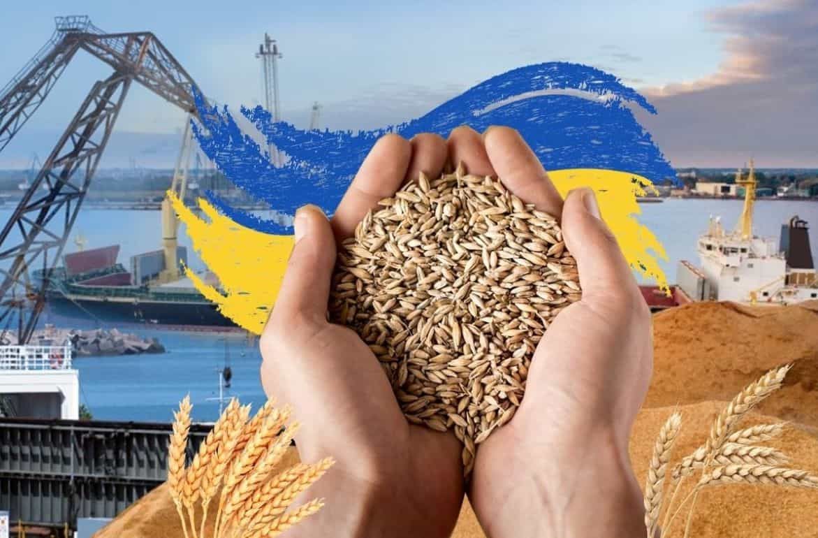 Причина отставки польского министра – украинское зерно - agroexpert.md