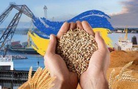 Причина отставки польского министра – украинское зерно - agroexpert.md