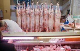 turcii carne de miel inflaie - AgroExpert.md