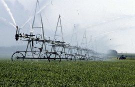 В Молдове анонсировано создание нового госагентства – мелиорации - agroexpert.md