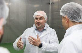 abator, porci - agroexpert.md