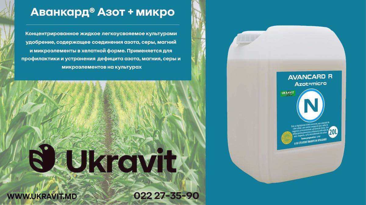 Корректировке азота и микроэлементов - agroexpert.md