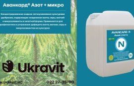 Корректировке азота и микроэлементов - agroexpert.md