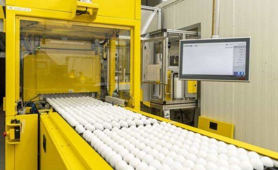 Оборудование определяющее цыплят мужского пола в яйцах - agroexpert.md