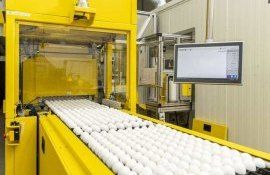 Оборудование определяющее цыплят мужского пола в яйцах - agroexpert.md
