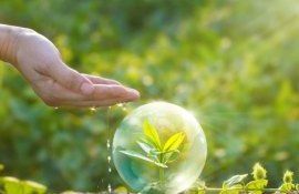 Производители биопрепаратов строят мост к пропашным культурам - agroexpert.md   