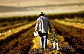 subvneții regulamnet fermieri - AgroExpert.md