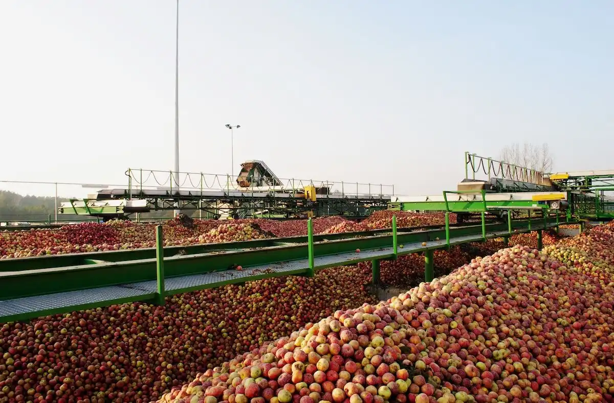 Компании с севера страны, TB Fruit Moldova, грозит рекордный штраф 13 млн леев