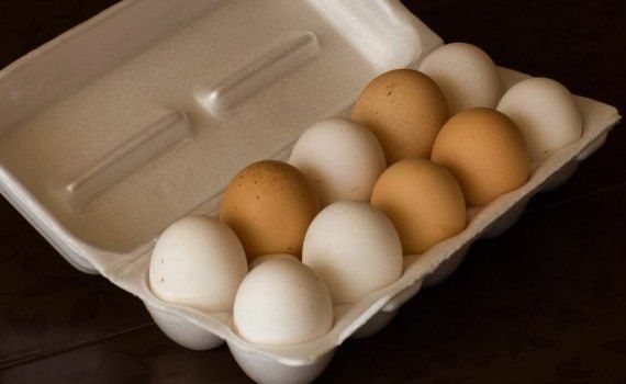 Куриные яйца останутся «золотыми» в 2023 году - agroexpert.md