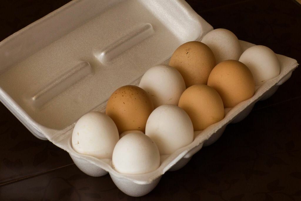 Куриные яйца останутся «золотыми» в 2023 году - agroexpert.md