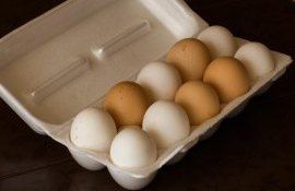 Куриные яйца останутся «золотыми» в 2023 году - agroexpert.md