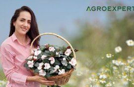 istorie de succes medicină flori - agroexpert.md