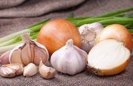 boli usturoi ceapă - agroexpert.md