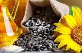 В апреле наметился в Украине рост цен на подсолнечник - agroexpert.md