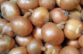В Молдове начался очередной этап подорожания лука - agroexpert.md   