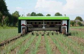 Агроробот Ekobot способен оптимизировать работу с луком - agroexpert.md