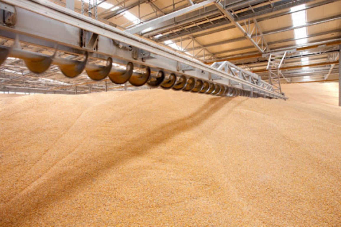 В Словакии обнаружили украинскую пшеницу с превышением пестицидов -  agroexpert.md