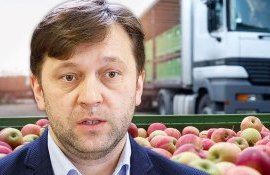 Алайба: Товары из Молдовы ждут в Норвегии, Исландии, Швейцарии и Лихтенштейне - agroexpert.md