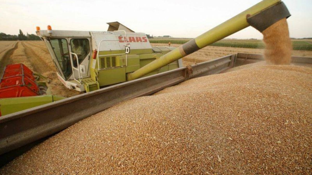 cereale Ucraina interdicție - AgroExpert.md
