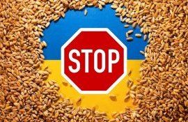 Forța Fermierilor reiterează susținerea agricultorilor din Polonia, România și Bulgaria - agroexpert.md