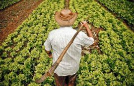 subvenții fermieri minister - AgroExpert.md