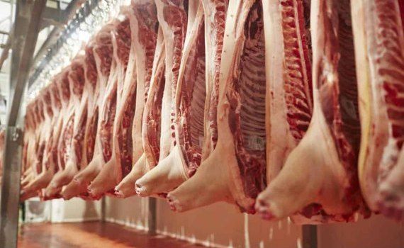 В Канаде закрываются предприятия по переработке свинины - agroexpert.md