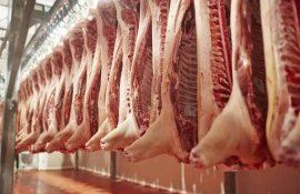 В Канаде закрываются предприятия по переработке свинины - agroexpert.md