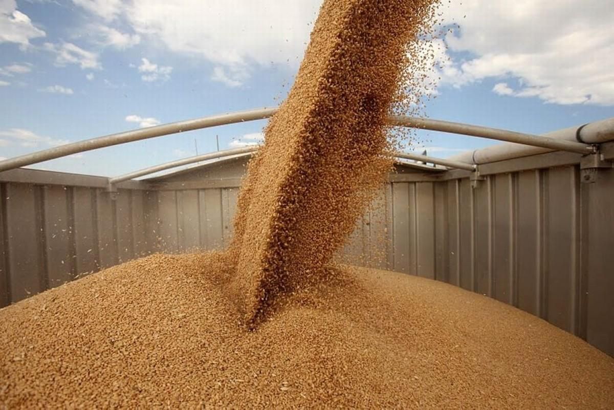 cereale export Moldova - AgroExepert.md